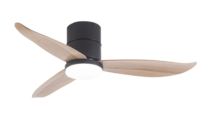 CEILING FAN